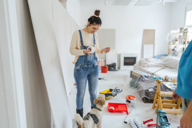 Best Acoustic or Soundproof Drywall Installation  in Cambria, IL